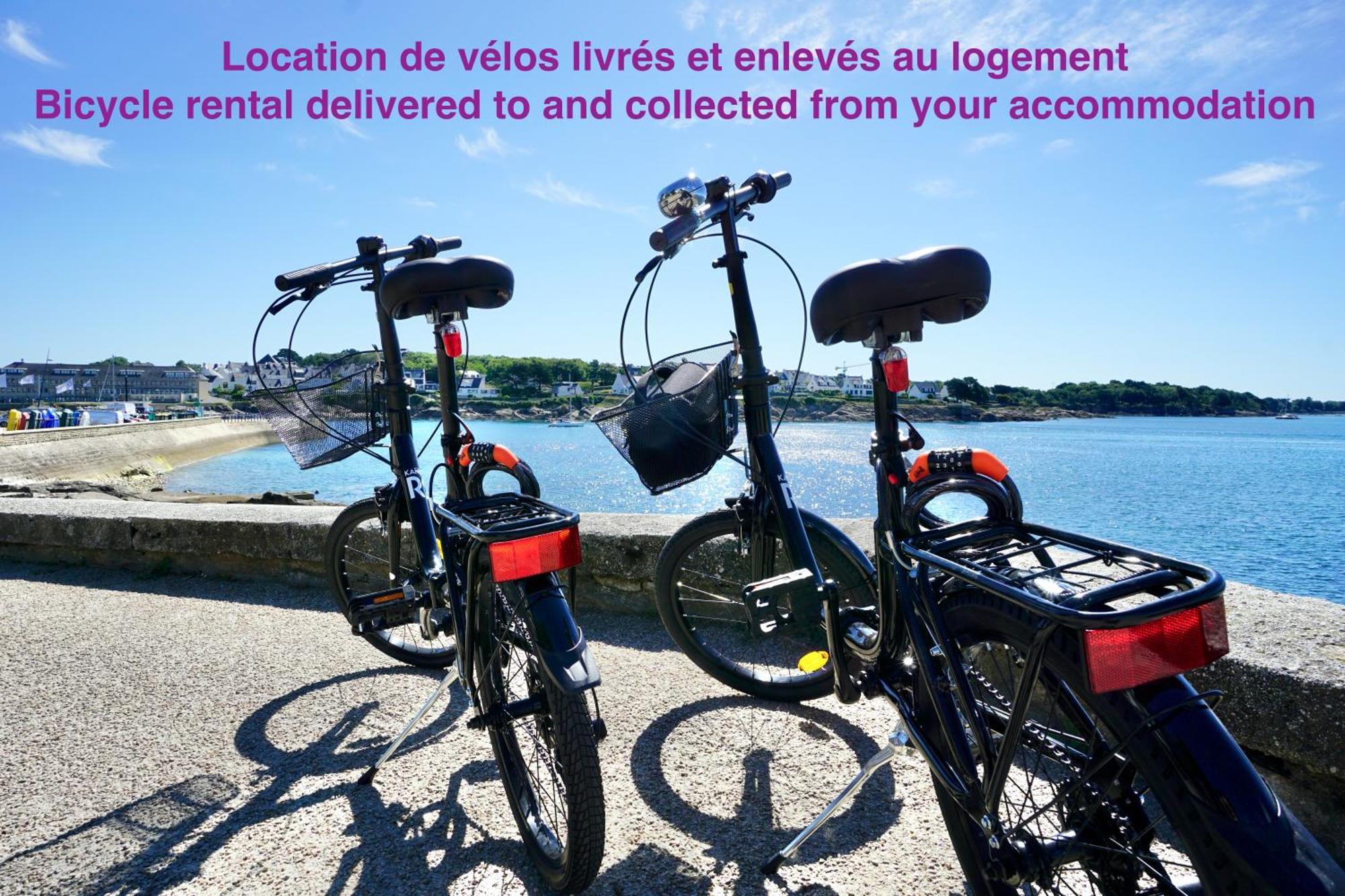 Le 12 * Hyper Centre* Apartman Lorient Kültér fotó